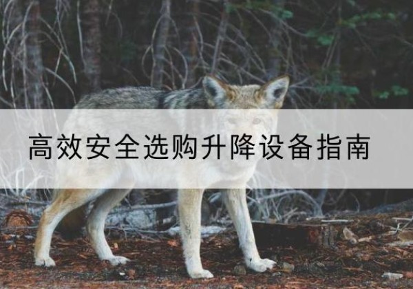 集美升降货梯厂家推荐-*安全选购升降设备指南