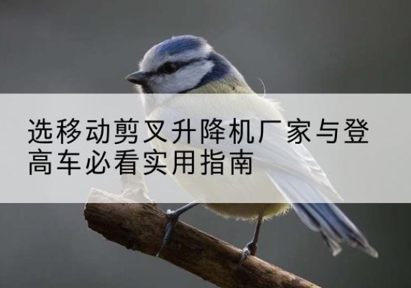 集美电动升降机厂家-选移动剪叉升降机厂家与登高车必看实用指南